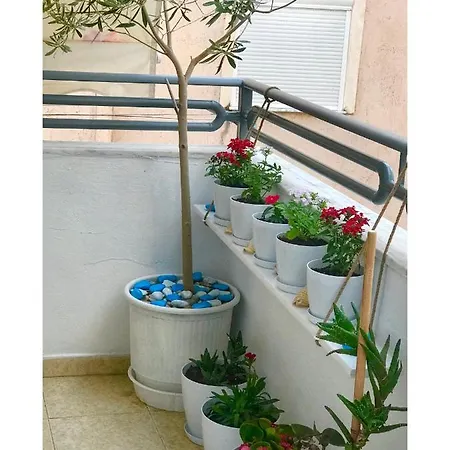Veli Apartment Sarande