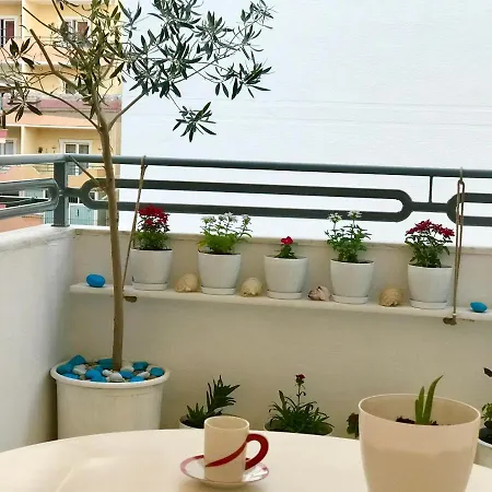 Apartment Veli